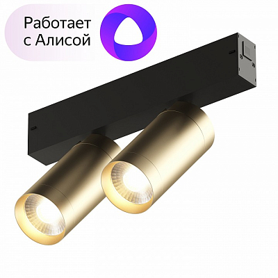 Светильник на штанге Denkirs Smart DK8012-BG 400_400_1913712