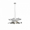 Подвесной светильник LIGHTERA Chad LE116L-55W 100_100_2049695