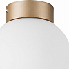 Накладной светильник Lightstar Globo 812013 100_100_3155799