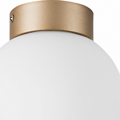Накладной светильник Lightstar Globo 812013 400_400_3155799