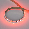 Лента светодиодная Arlight RT-A168 056877 100_100_2440340