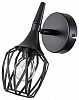 Спот Escada Gale 1120/1A 100_100_2300404