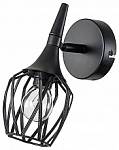 Спот Escada Gale 1120/1A 250_100_Array