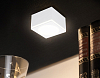Накладной светильник Ambrella Light TN TN266 100_100_2006745