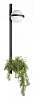 Бра Loft it Jardin 10121W/B 100_100_1848033