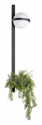 Бра Loft it Jardin 10121W/B 400_400_1848033