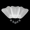 Накладной светильник Lightstar Lobo 804640 100_100_1713731