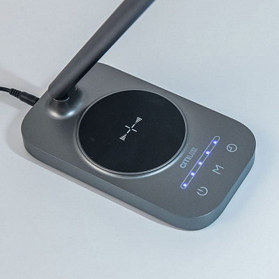 Настольная лампа декоративная Citilux Ньютон CL803052 400_400_1670925
