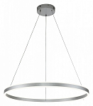Подвесной светильник Indigo Galass 14001/1P Silver 250_100_1969429