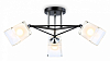 Люстра на штанге Ambrella Light TR TR303072 100_100_2421830