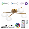 Потолочная люстра Citilux Atman Smart CL226A143 100_100_1694370