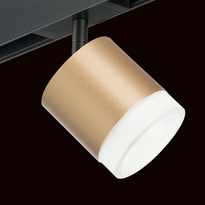 Светильник на штанге Lightstar Rullo PRO349080 400_400_1717937