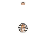 Подвесной светильник Ambrella Light TR TR5852 250_100_2734321