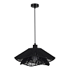 SLE6023-403-01 Светильник подвесной черный/черный E27 1*40W ГОННА 100_100_763675