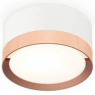 Накладной светильник Ambrella Light XS XS8101006 500_191_2443325