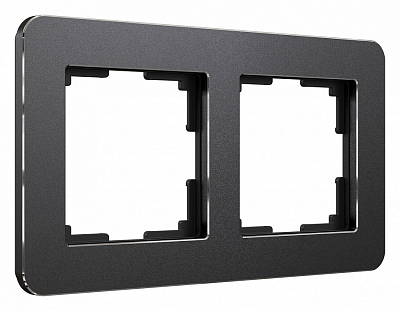 Рамка на 2 поста Werkel Platinum (черный алюминий) W0022608 400_400_2130315