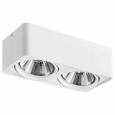 Накладной светильник Lightstar Monocco 212626 400_400_2448226
