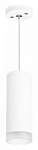 Подвесной светильник Lightstar Rullo RP48630 250_100_3084168