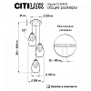 Подвесной светильник Citilux Garuda CL420033 100_100_1691781