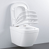 39330002 Euro Ceramic Сиденье для WC с микролифтом, альпин белый (замена арт. 39330001) 100_100_1440662
