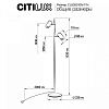Торшер Citilux Twin CL809010N 100_100_1674487