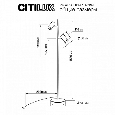 Торшер Citilux Twin CL809010N 400_400_1674487