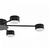 Потолочная люстра Lumion TORINA 8344/6C 100_100_1580707