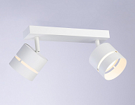 Спот Ambrella Light TN TN71058 250_100_2019488