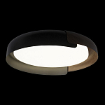 Накладной светильник Loft it Coin 10198 Black 250_100_Array