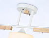 Люстра на штанге Ambrella Light TR TR9546 100_100_2017884