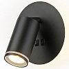 Бра Ambrella Light FW FW2463 100_100_2316609