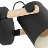 Бра Eglo HORNWOOD 43518 100_100_1669446
