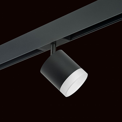 Светильник на штанге Lightstar Rullo PRO348780 400_400_1717895