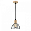 Подвесной светильник Lumion Natana 8053/1А 100_100_1865624