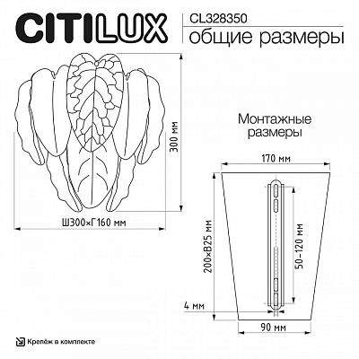 Накладной светильник Citilux HASIENDA CL328350 400_400_2886380