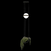 Подвесной светильник Loft it Jardin 10121/B 100_100_1848021