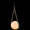 Подвесной светильник Loft it Glob LOFT2599-B 100_100_1845380