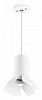 Подвесной светильник Lightstar Rullo RP436436 100_100_3096366