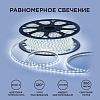 Лента светодиодная OGM  O17-03 100_100_2854115