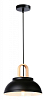 Подвесной светильник Ambrella Light TR TR8192 100_100_2015695