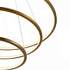 Подвесной светильник Loft it Ring 10015/3 100_100_1845877