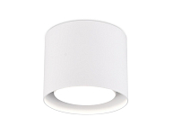 Накладной светильник Ambrella Light TN TN700 250_100_2003310