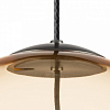 Подвесной светильник Lightstar Colore 805303 100_100_1719703