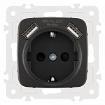 Розетка с заземлением и со шторкой и 2хUSB, без рамки Arte Milano am-205 205.47-1.black 250_100_2167146