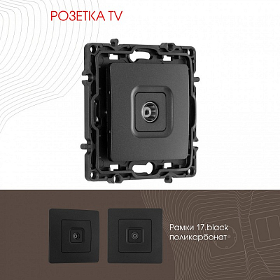 ТВ-розетка без рамки Arte Milano am-217 217.43-1.black 400_400_2167811