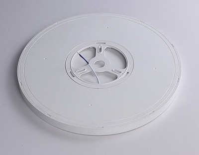 Накладной светильник Ambrella Light FZ FZ1955 400_400_2027934