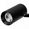Торшер Citilux Twin CL809011N 100_100_1674499