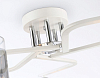 Потолочная люстра Ambrella Light TR TR303219 100_100_2016882