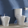 ODEON UP 4957CK-00 чаша унитаза Vario 66*36,5 см 100_100_2415880