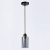 Подвесной светильник Ambrella Light TR TR3695 100_100_2015428